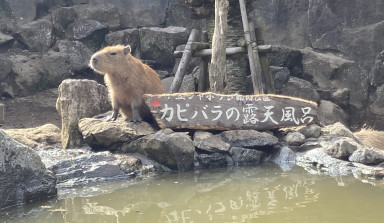 伊豆高原