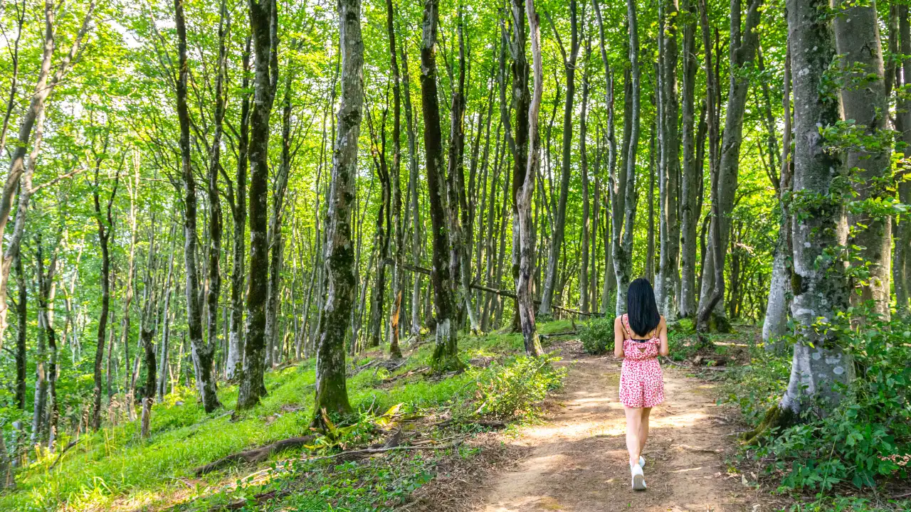 山林の遊歩道をピンクのオーバーオールを着た女性が歩いている画像