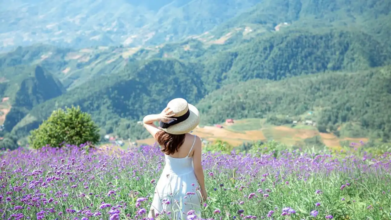 山や紫の花畑が広がる場所。中心に白いワンピースを着た女性が被っている麦わら帽子を片手で押さえている画像