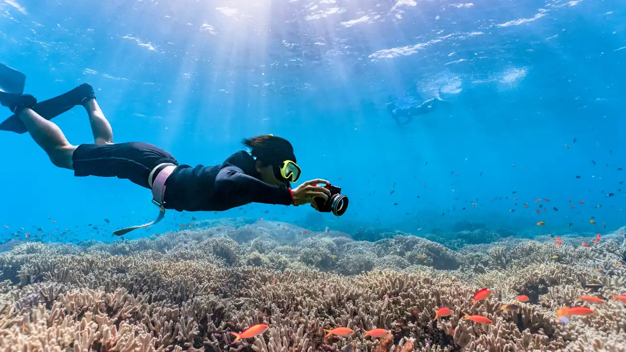 透き通った海の中一面に広がるサンゴの背景。その中をシュノーケリングしながらカメラで撮影をしている人の画像