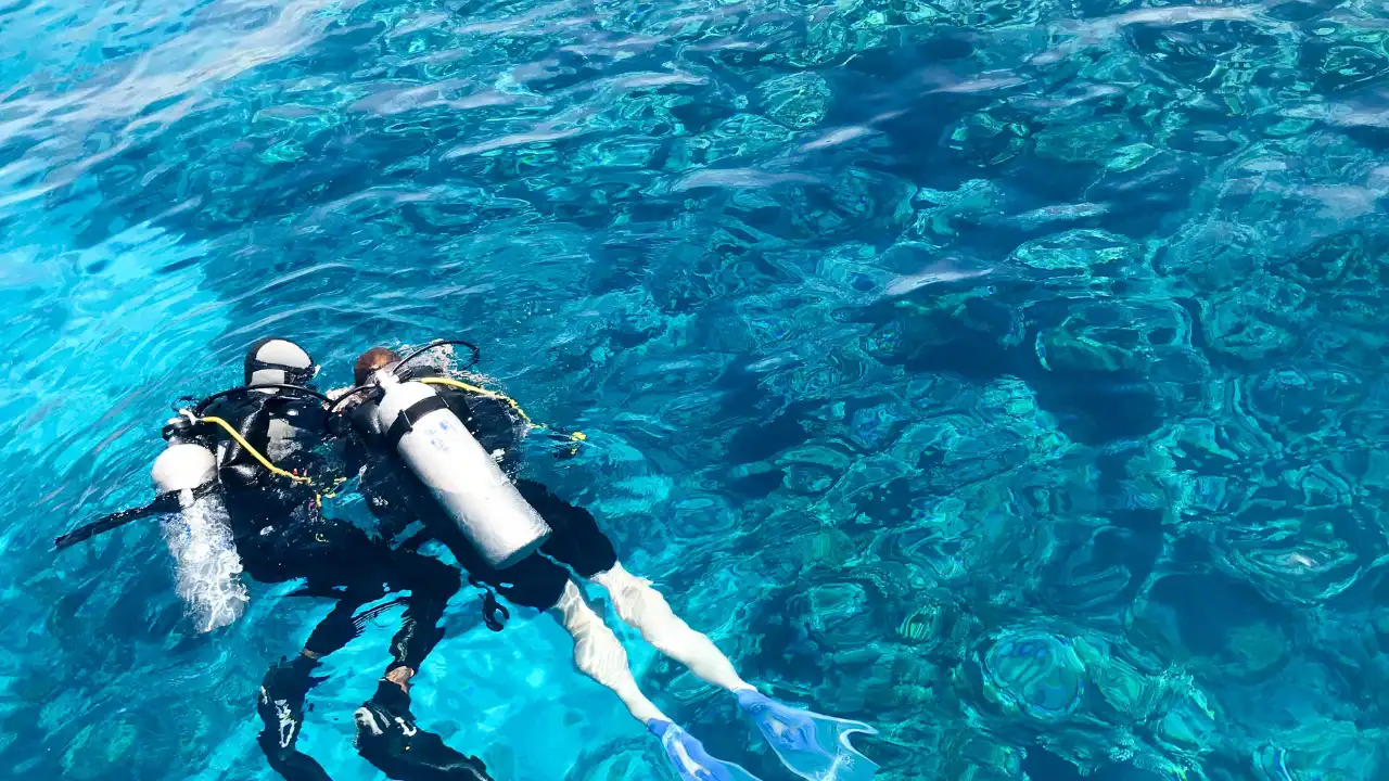 青い海。画面の左側には海に浮かんでシュノーケリングをしている2人の人物の画像