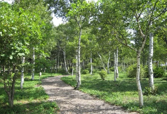 ヴィレッジ女神湖周辺